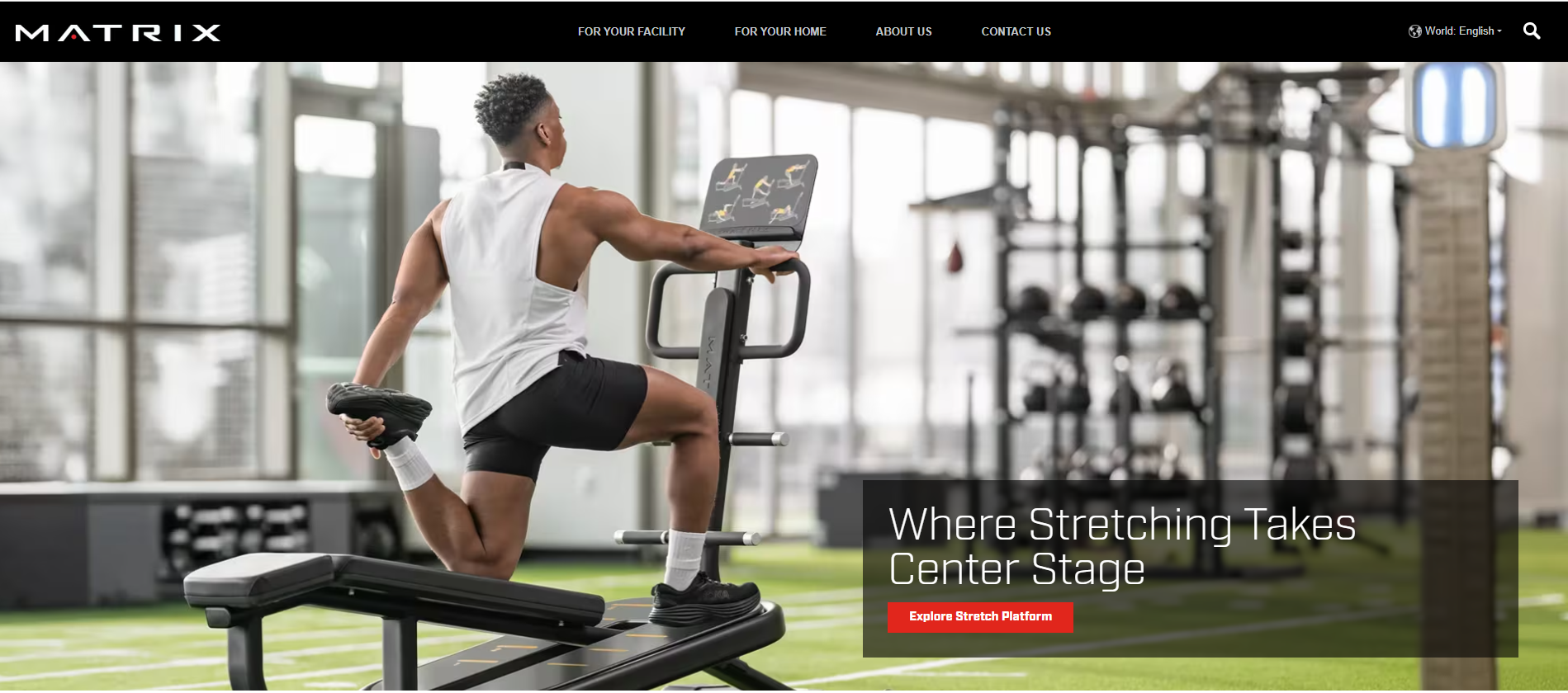 Commercial Gym Solutions - Cardio & Strength